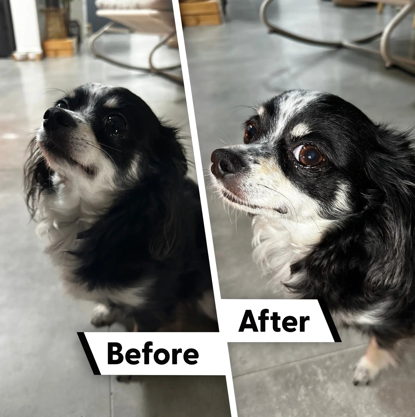 SnapPro | Shoot. Grip. Create